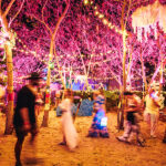 SXM Festival 2026