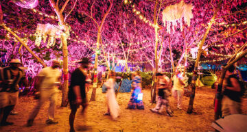 SXM Festival 2026